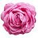 Ecarla Ozdobna spinka do włosów w kształcie róży Fuksja