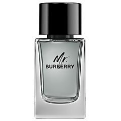 Mr. Burberry 1/1