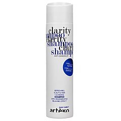 Artego Easy Care T Clarity Shampoo 1/1