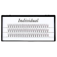 INDIVIDUAL 1/1