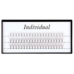 INDIVIDUAL 1/1