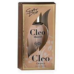 Chat D'or Cleo Orange 1/1