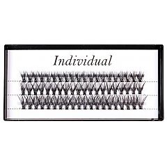 INDIVIDUAL 1/1