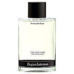 Ermenegildo Zegna Zegna Intenso 1/1