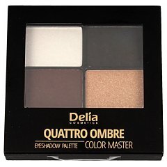 Delia Color Master Quattro Ombre Eyeshadow Palette 1/1