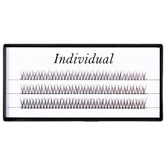 INDIVIDUAL 1/1