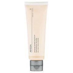 Aveda Inner Light Mineral Tinted Moisture 1/1