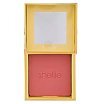 Benefit Shellie Blush Cheek It Twice Róż do policzków Warm Seashell Pink 2x6g