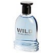 Street Looks Wild Challenge Woda toaletowa spray 100ml