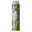 Nesti Dante Romantica Żel pod prysznic 300ml Lavender & Verbena