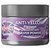 Ronney Anti-Yellow Silver Power Professional Mask Srebrna maska do włosów blond rozjaśnianych i siwych 1000ml