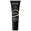 Lirene Satin Concealer Pielęgnacyjny korektor rozjaśniający 10ml 01 Light