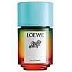 Loewe Paula's Ibiza Woda toaletowa spray 100ml