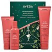 Aveda Nutriplenish Zestaw upominkowy szampon do włosów 100ml + odżywka do włosów 100ml + odżywka bez spłukiwania 150ml