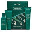 Aveda Botanical Repair Zestaw upominkowy szampon do włosów 100ml + odżywka do włosów 100ml + wzmacniająca kuracja do włosów bez spłukiwania 100ml