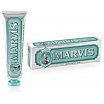 MARVIS Fluoride Toothpaste Pasta do zębów z fluorem 85ml Anise Mint